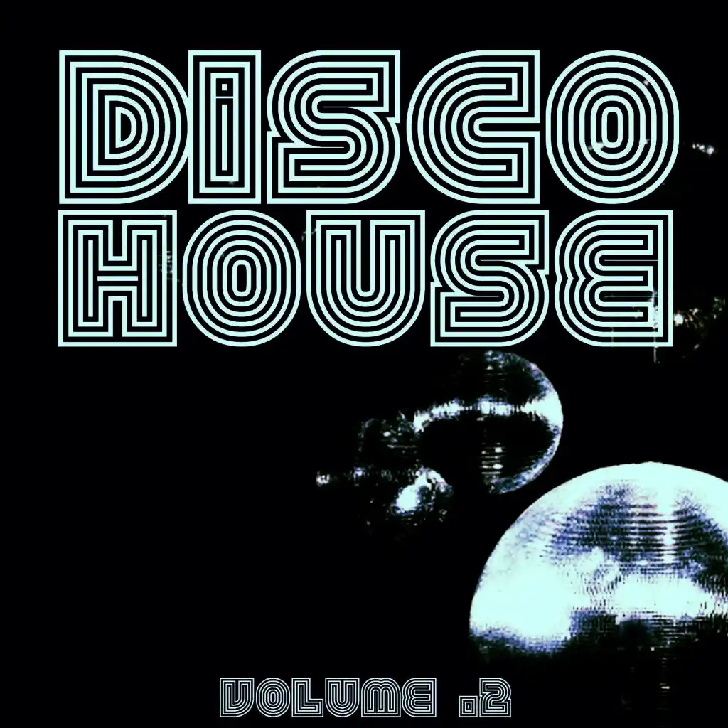 Disco House Vol. 2