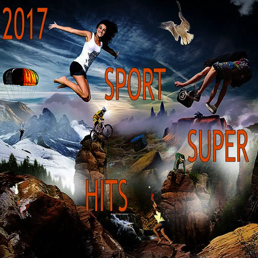 2017 Sport Super Hits