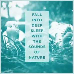 Fall Into Deep Sleep With the Sounds of Nature