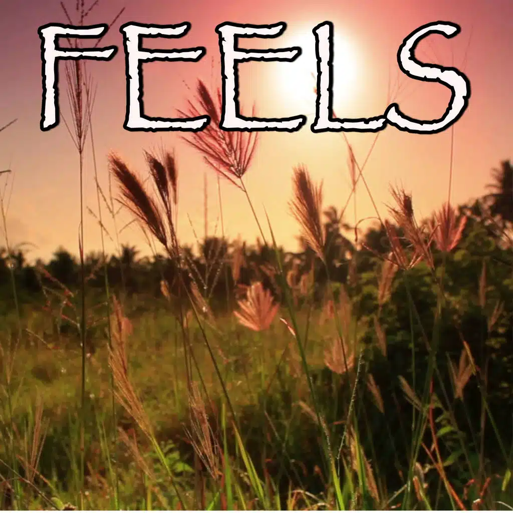 Feels - Tribute to Calvin Harris, Pharrell Williams, Katy Perry and Big Sean