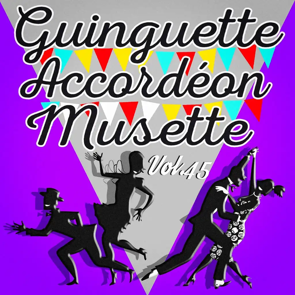 Guinguette Accordéon Musette, Vol. 45