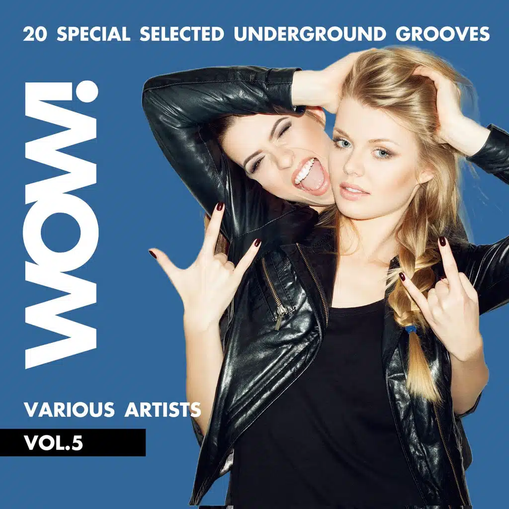 WOW! (20 Special Selected Underground Grooves), Vol. 5