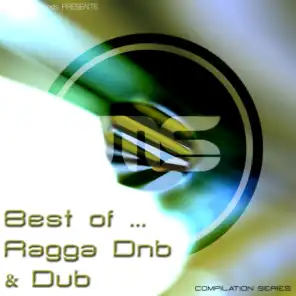 Best of Ragga Drum & Bass / Dub