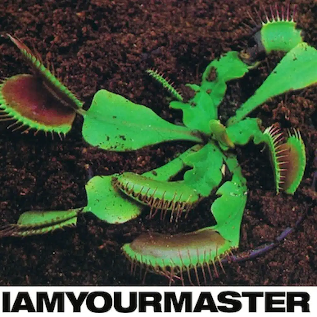 I Am Your Master / Import (Remastered)