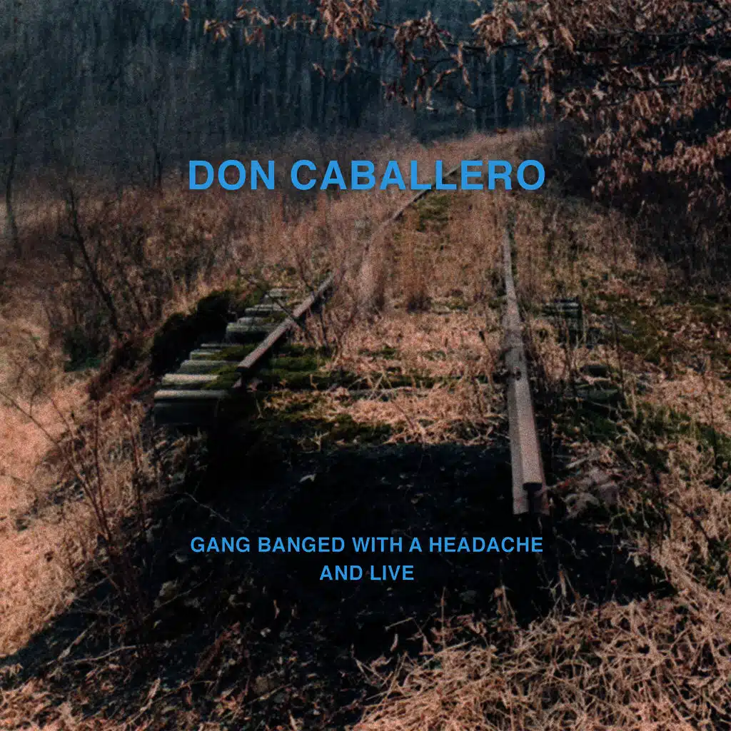 And And And, He Lowered The Twin Down (Live)