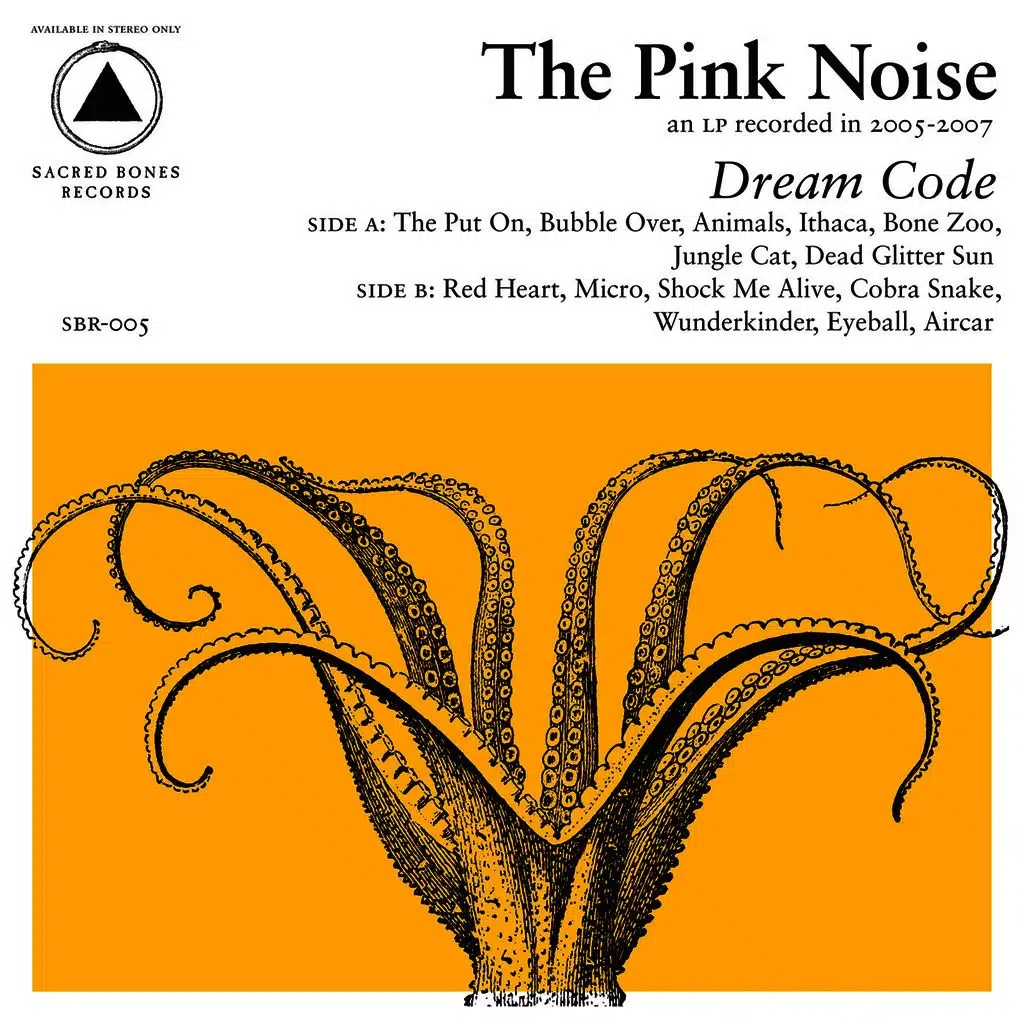 Dream Code