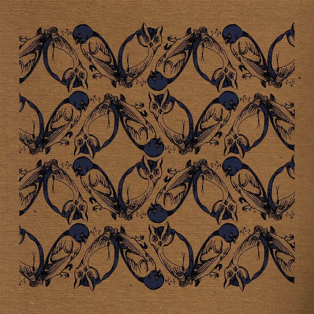 The Asheville Squints