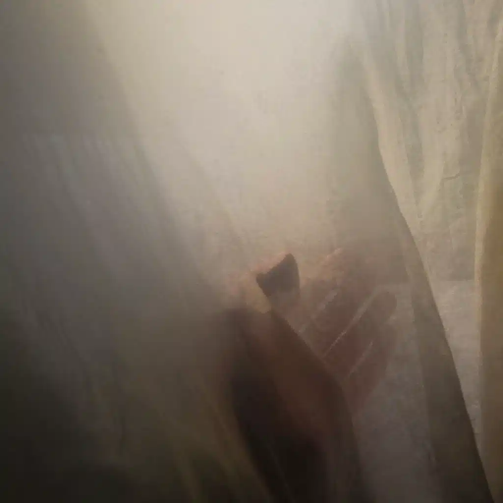 Wild Palms b/w Symphony in White, No. 2