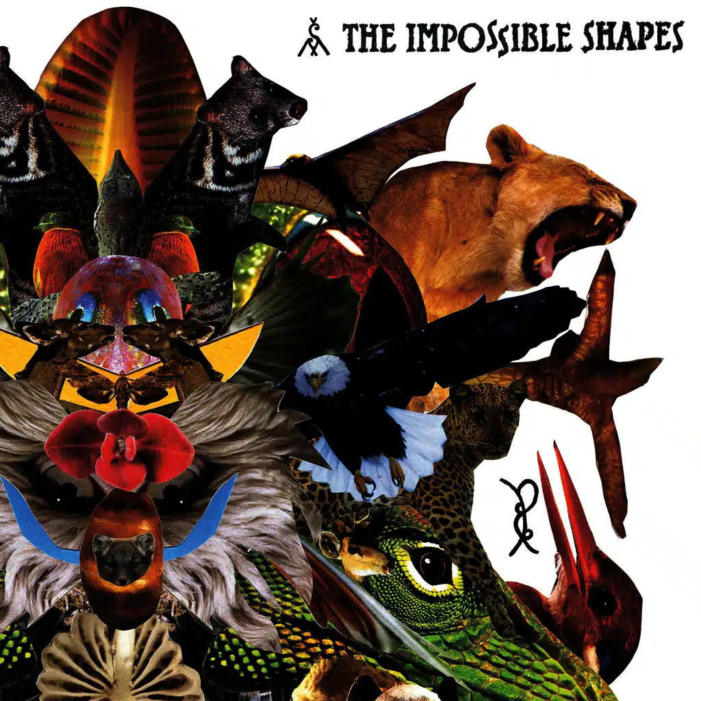 The Impossible Shapes