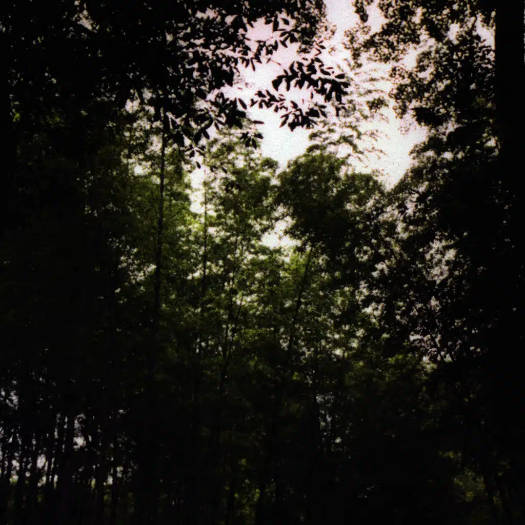 Smile and The World Smiles With You