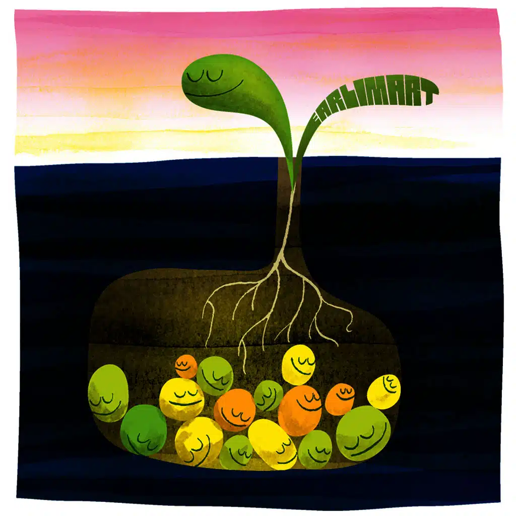 Answers and Questions b/w Caruthers Boy