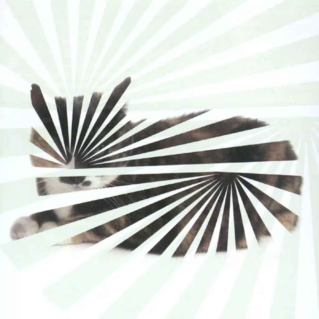 Poor Aim: Love Songs