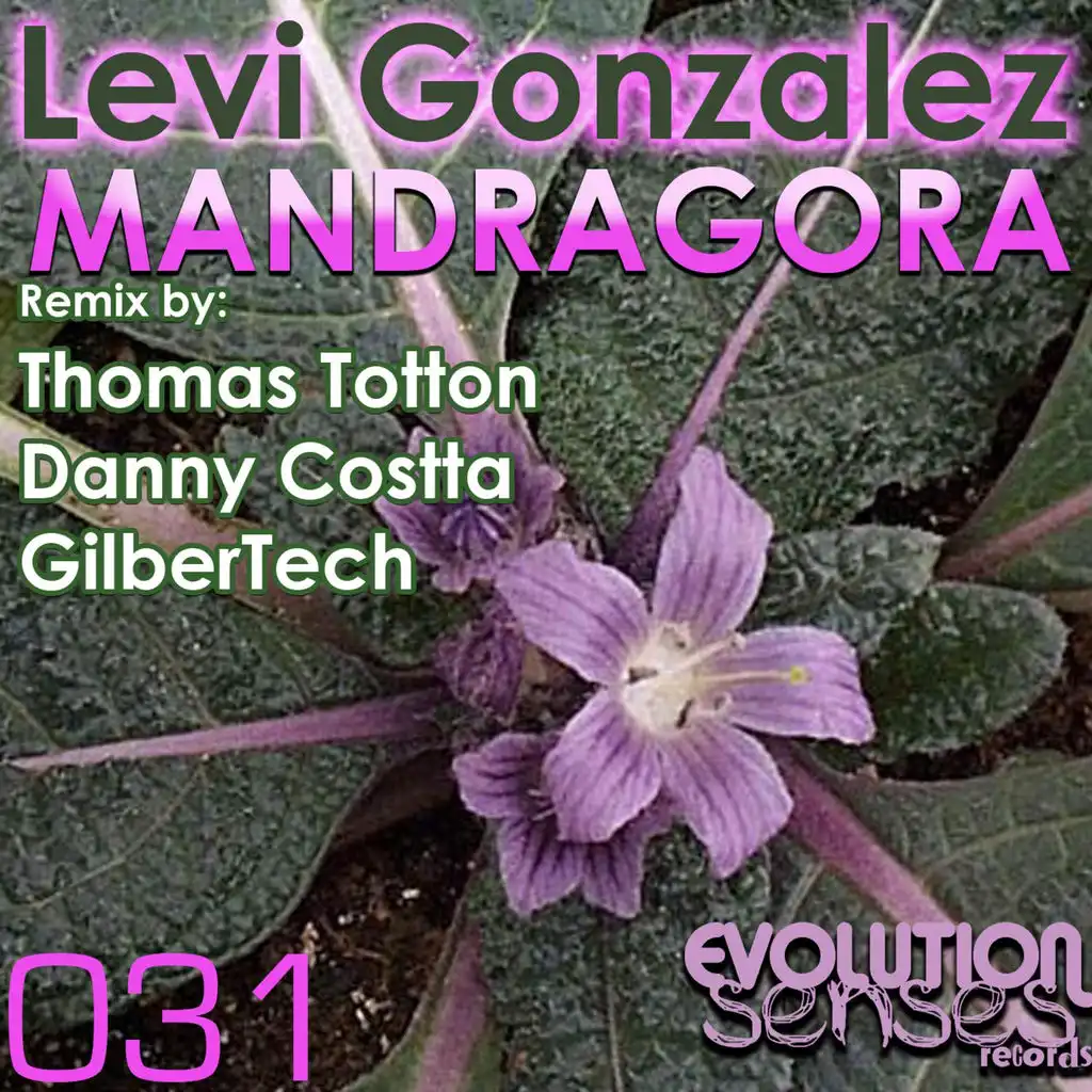 MANDRAGORA (Original mix)