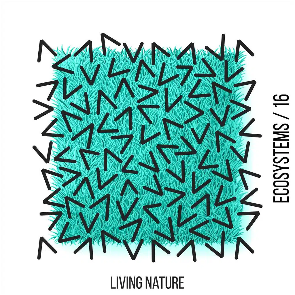 Thomas Totton & Alex Hertz