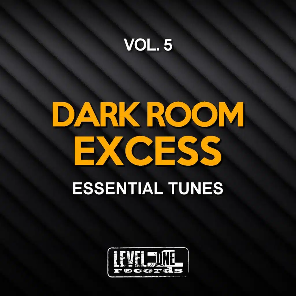 Dark Room Excess, Vol. 5 (Essential Tunes)