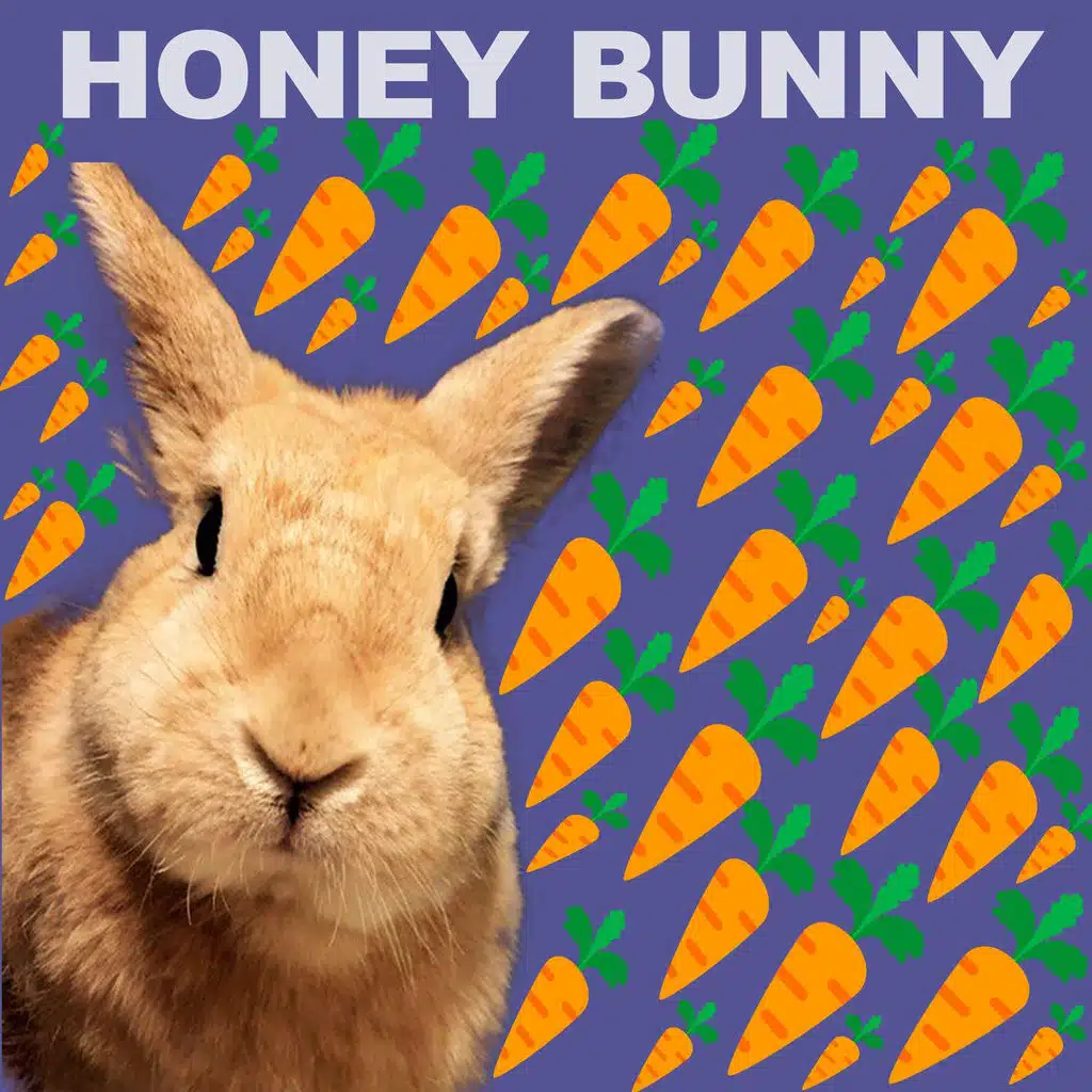 The Hardknockers (Scapo Ravey remix)