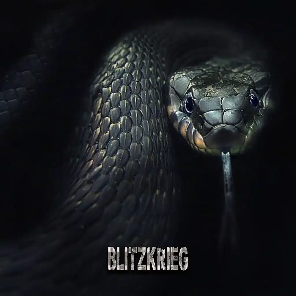 Black Mamba (Original mix)