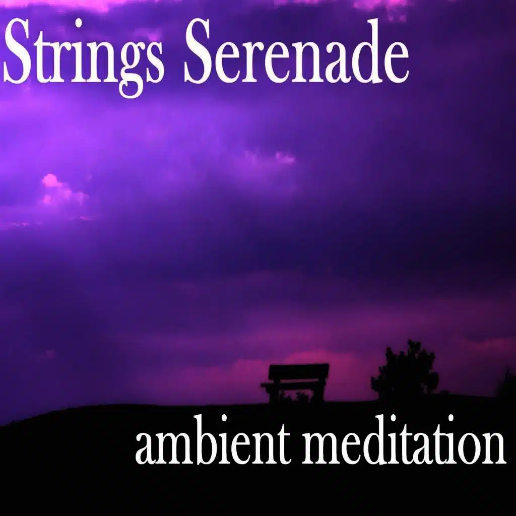 Strings Serenade