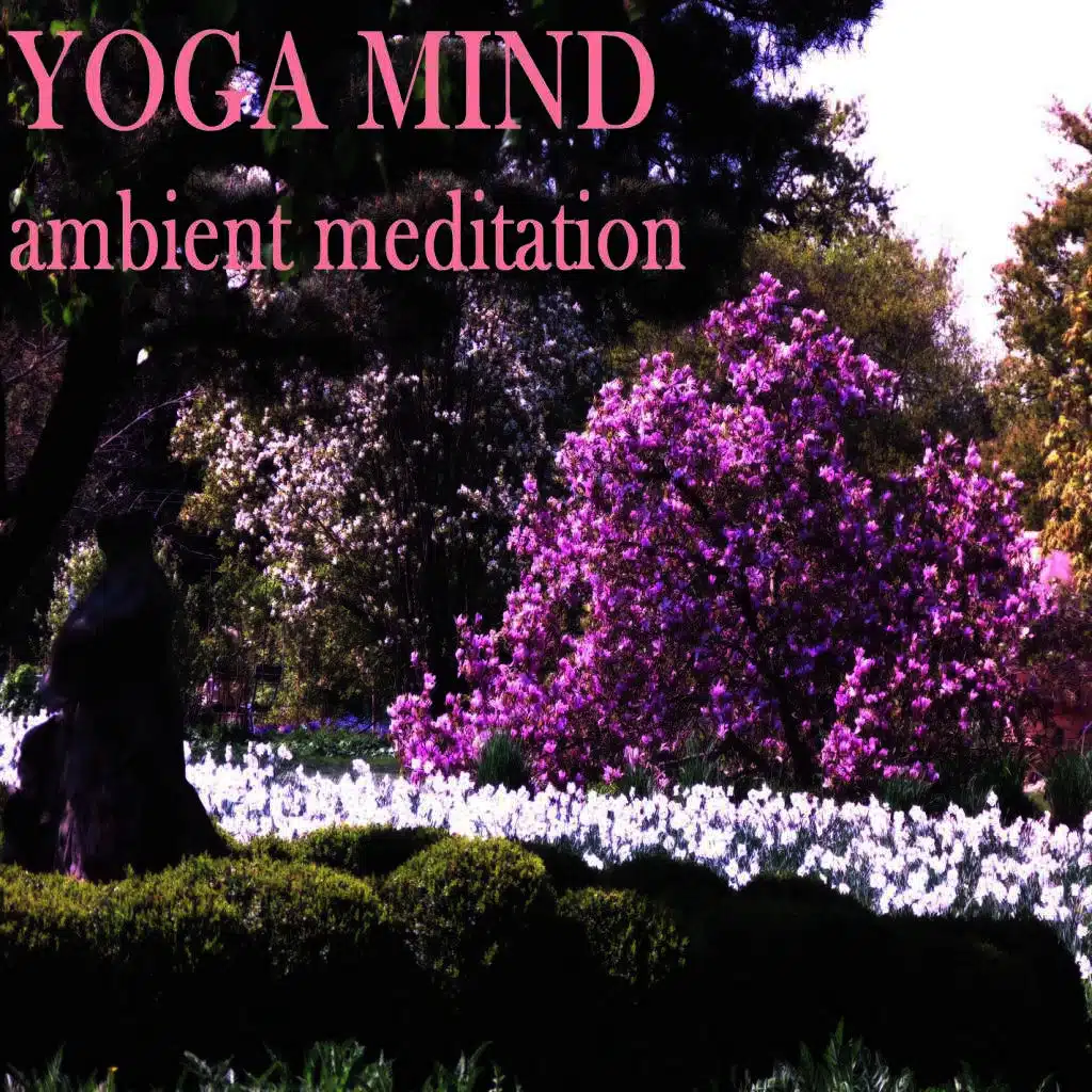 Yoga Mind