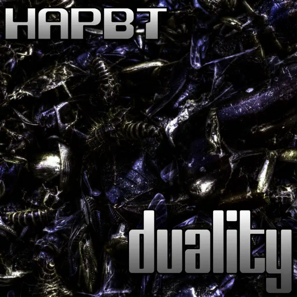Duality