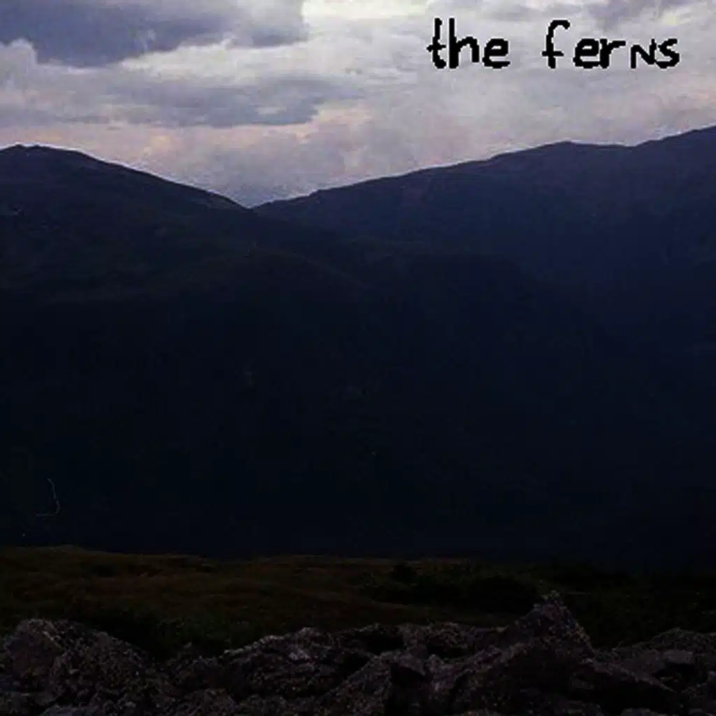 The Ferns