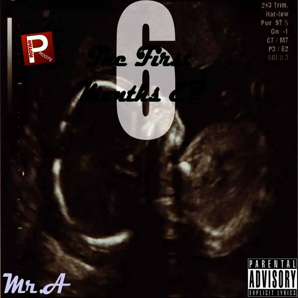 The First 6 Months EP