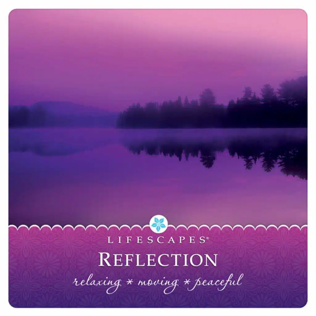 Reflection