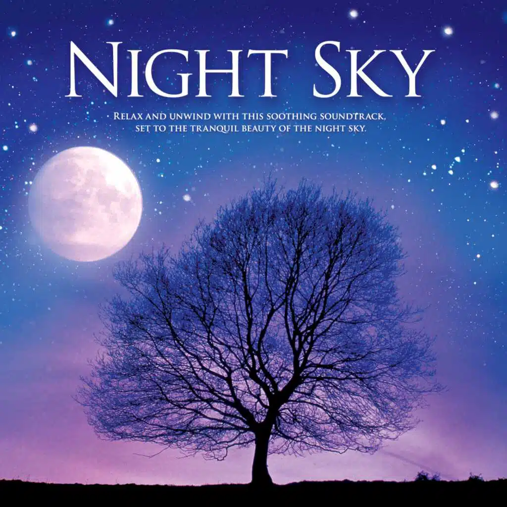 Night Sky