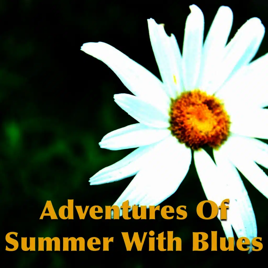 Adventures Of Summer With Blues
