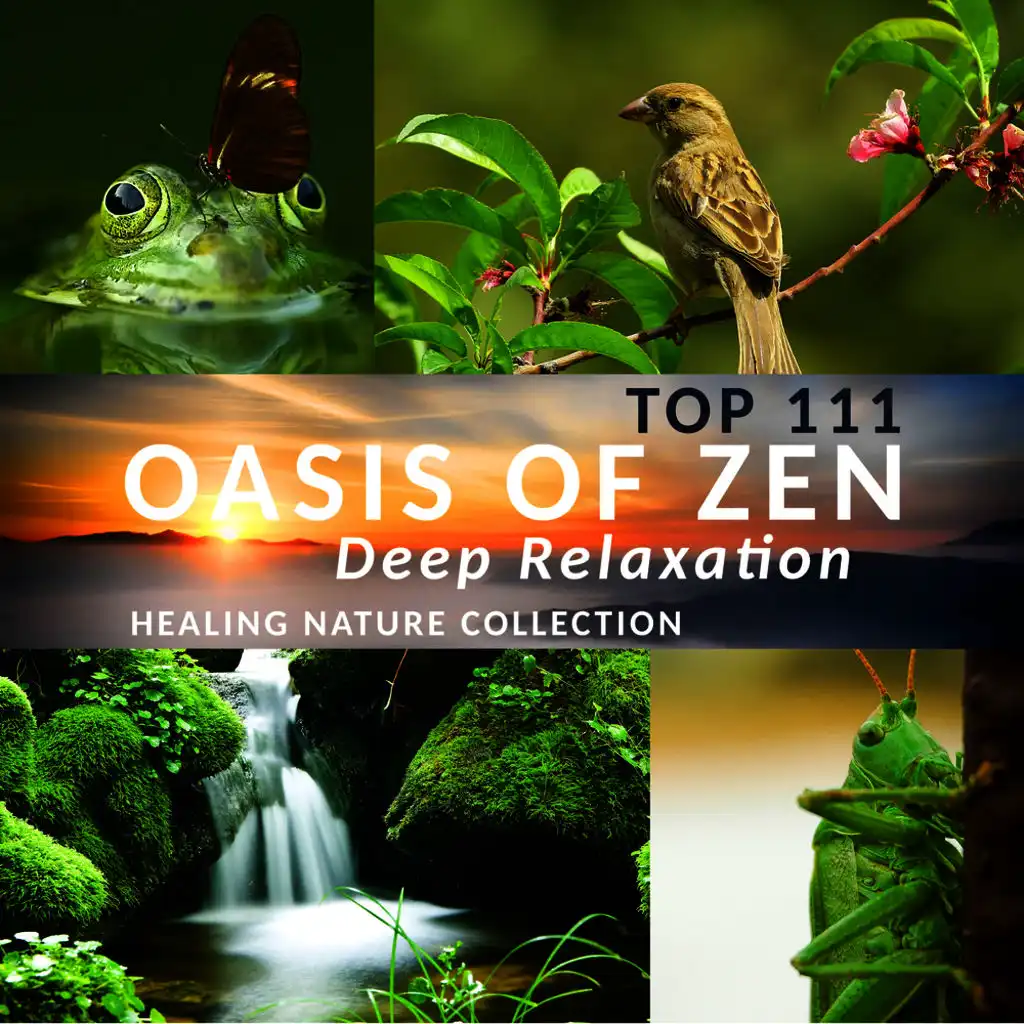 Oasis of Zen Deep Relaxation