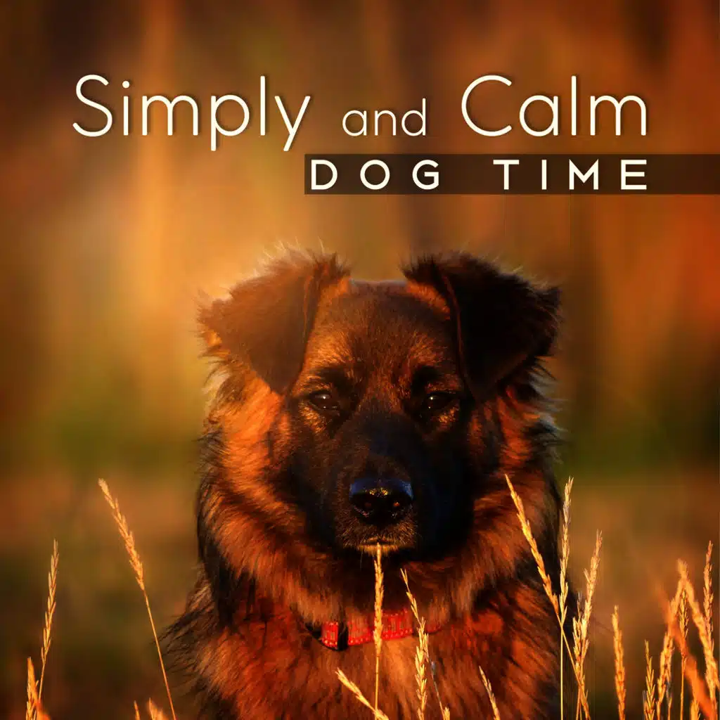 Simply and Calm Dog Time