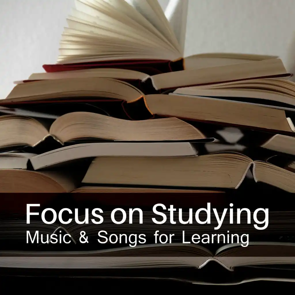 Focus on Studying