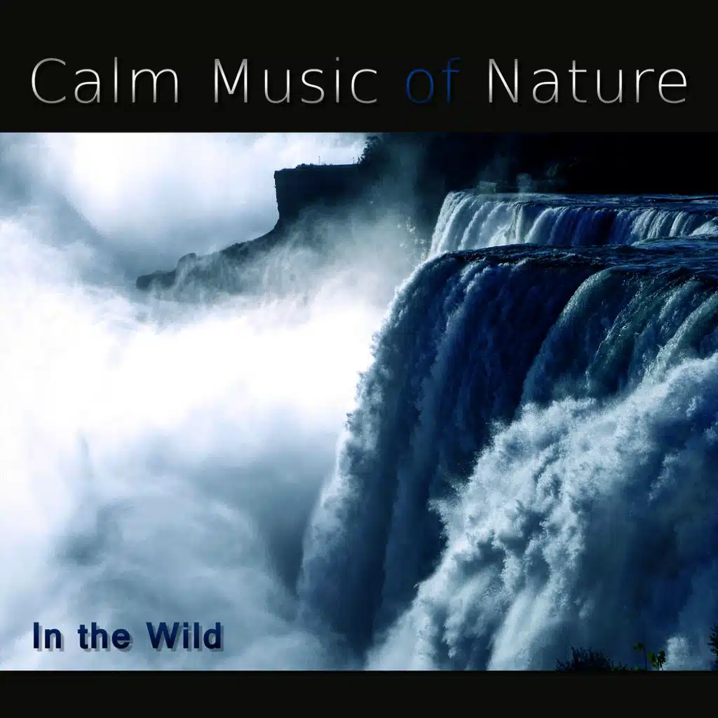 Liquid Sleep REM (Lucid Dreaming)