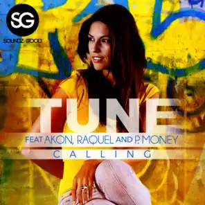 Calling (David May Single Mix)