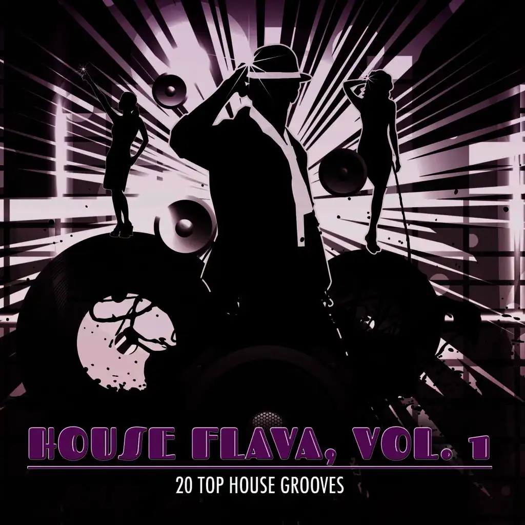 House Flava, Vol. 1 (20 Top House Grooves)