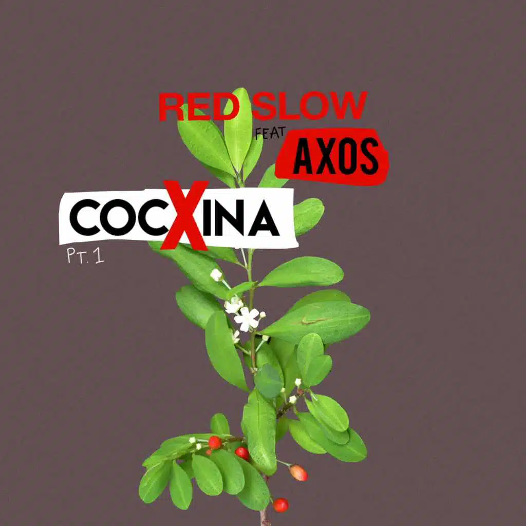 Cocxina, Pt. I (feat. Axos)