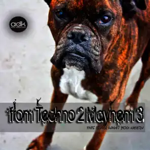 From Techno 2 Mayhem 3 (This is all what you need!)