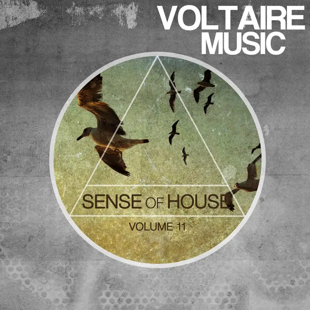 Sense of House, Vol. 11