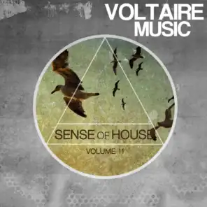 Sense of House, Vol. 11