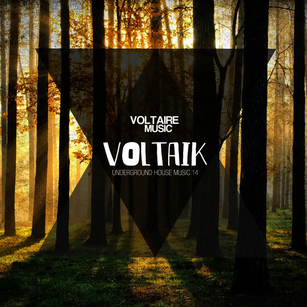 Voltaik, Vol. 14