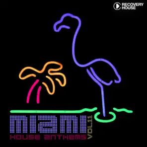 Miami House Anthems, Vol. 11