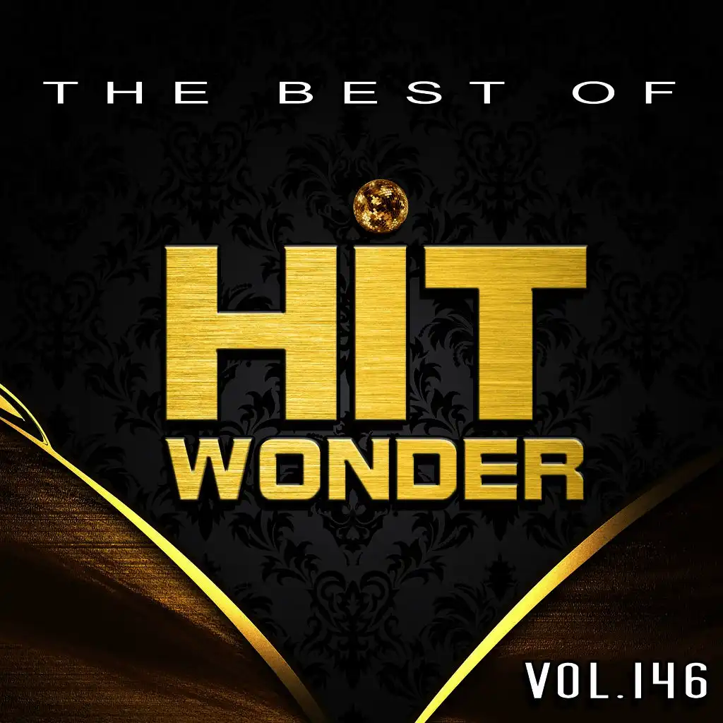 Hit Wonder: The Best of, Vol. 146