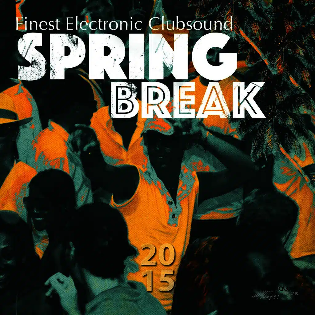 Spring Break 2015 (Best of Electronic Clubsound & House)
