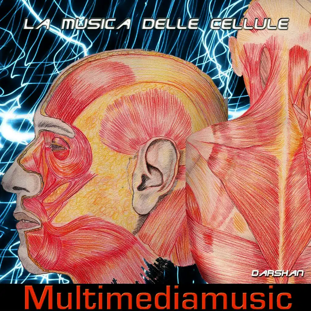 Musica fine della vita
