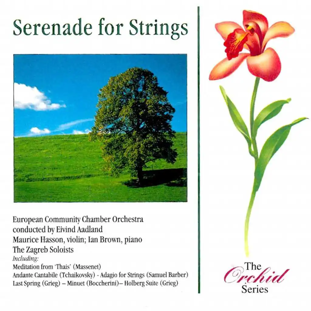 Andante Cantabile from String Quartet, Op. 11