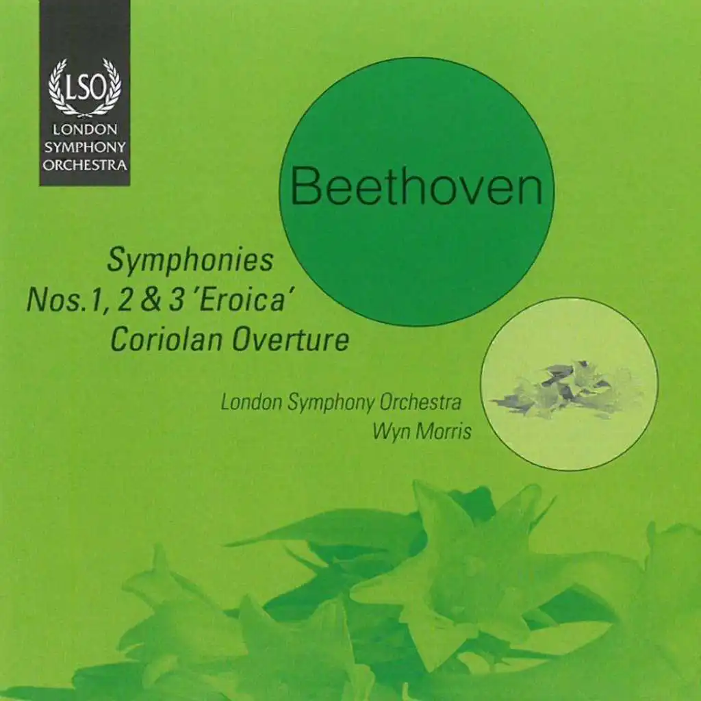 Symphony No. 1 in C Major, Op. 21: II. Andante cantabile con moto