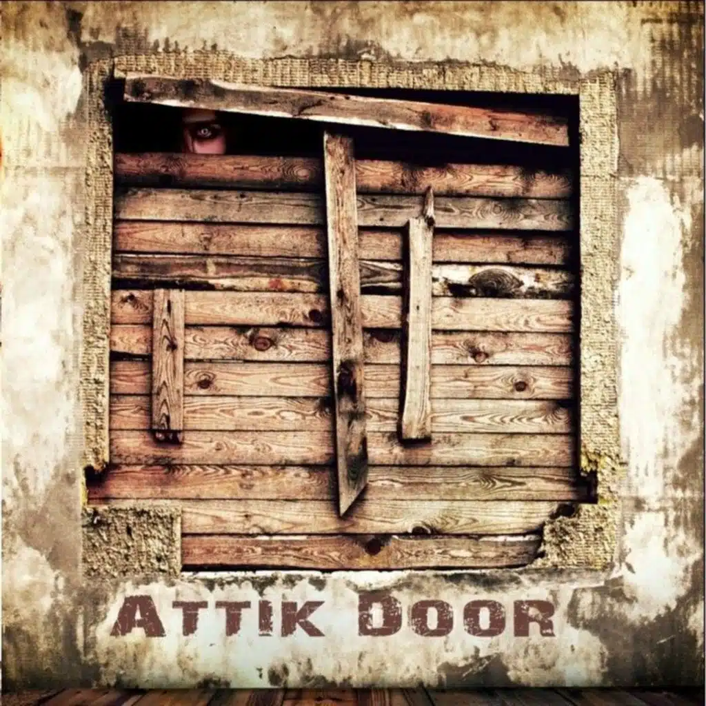 Attik Door