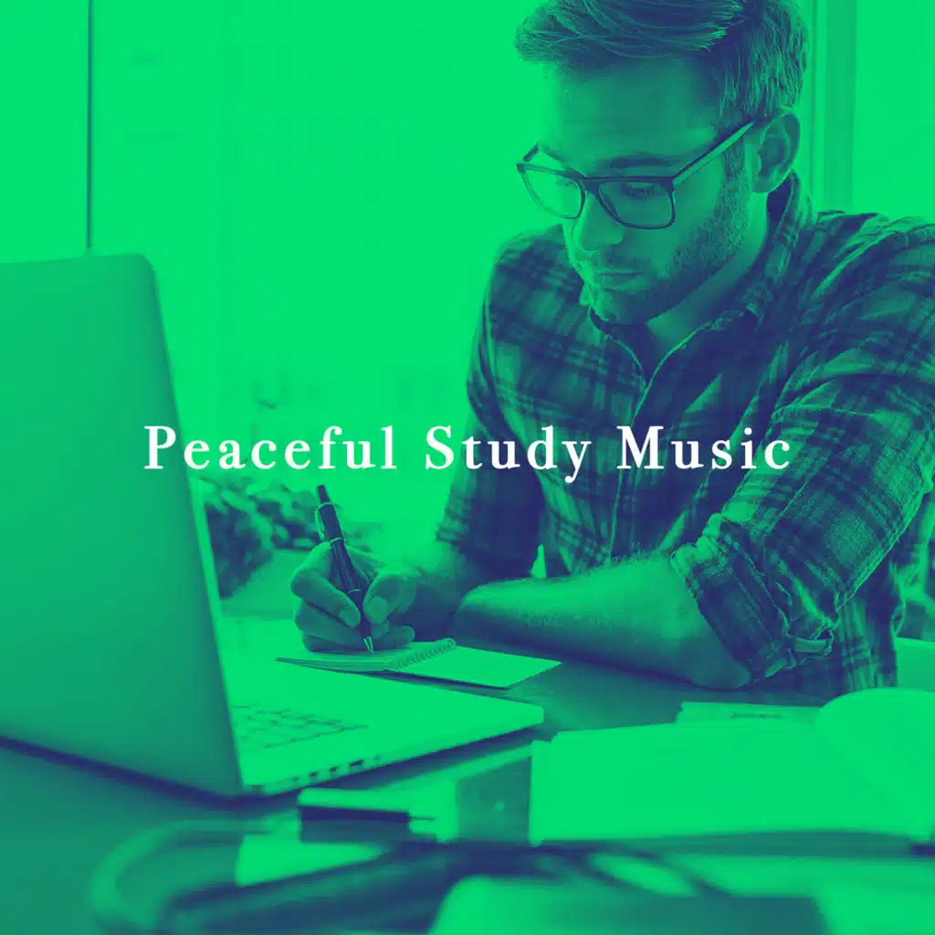Peaceful Study Music