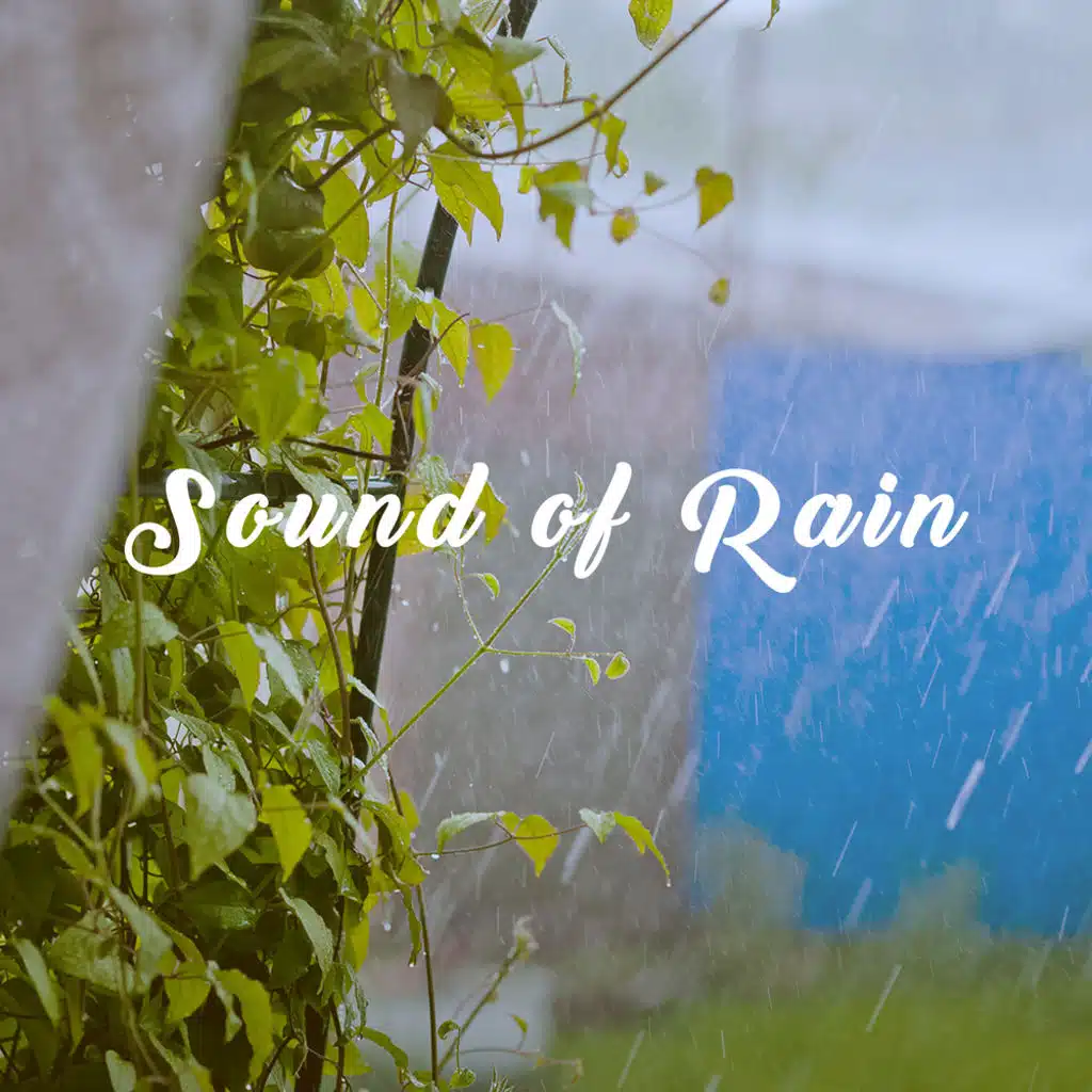Sound of Rain