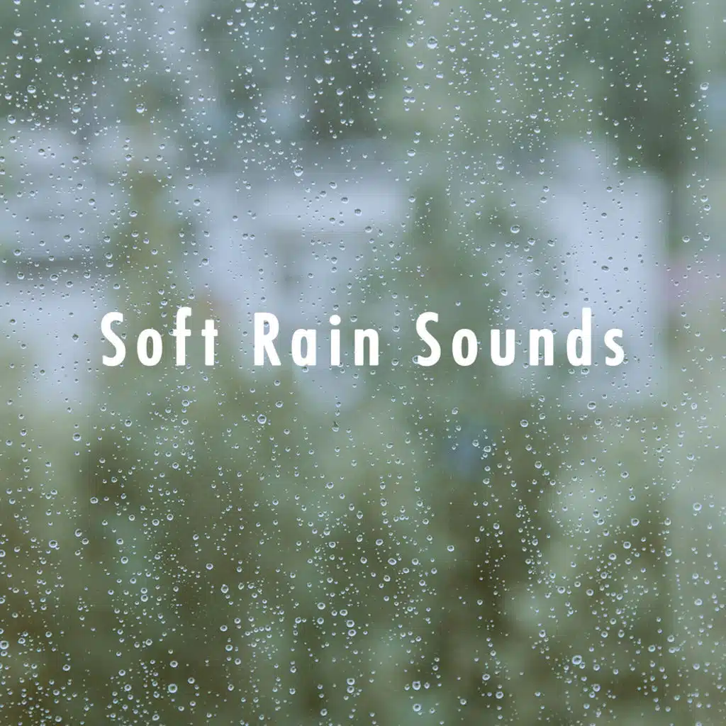 Soft Rain Sounds